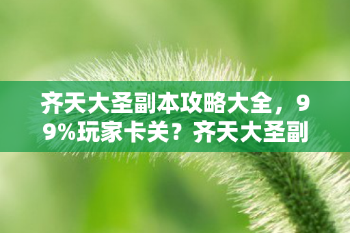 齐天大圣副本攻略大全，99%玩家卡关？齐天大圣副本3大隐藏杀招，通关率飙升秘籍！