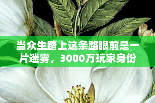 当众生踏上这条路眼前是一片迷雾,3000万玩家身份成谜?这条路尽头,是心酸还是救赎? 当众生踏上这条路眼前是一片迷雾,3000万玩家身份成谜?这条路尽头,是心酸还是救赎?