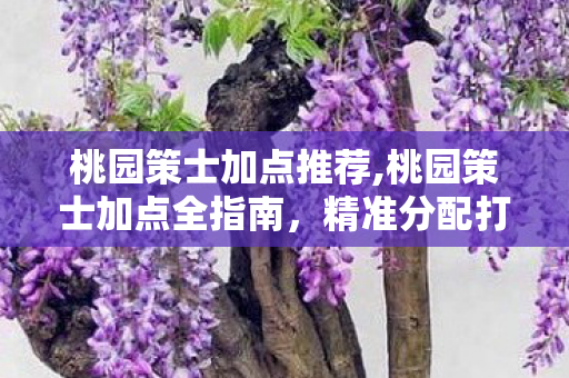 桃园策士加点推荐,桃园策士加点全指南,精准分配打造专属核心 桃园策士加点推荐,桃园策士加点全指南,精准分配打造专属核心