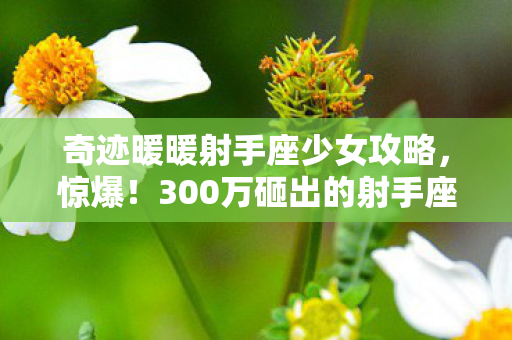 奇迹暖暖射手座少女攻略,惊爆!300万砸出的射手座少女方案竟藏隐情,结果让人吓一跳! 奇迹暖暖射手座少女攻略,惊爆!300万砸出的射手座少女方案竟藏隐情,结果让人吓一跳!
