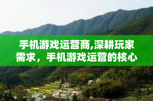 手机游戏运营商,深耕玩家需求,手机游戏运营的核心路径 手机游戏运营商,深耕玩家需求,手机游戏运营的核心路径