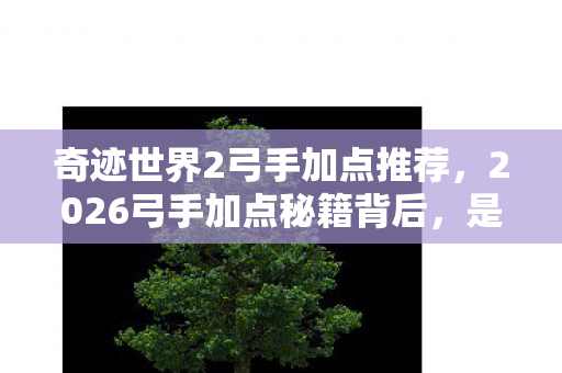 奇迹世界2弓手加点推荐，2026弓手加点秘籍背后，是凌晨三点她说的等你，鼻子一酸