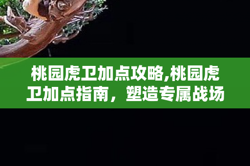 桃园虎卫加点攻略,桃园虎卫加点指南,塑造专属战场悍将 桃园虎卫加点攻略,桃园虎卫加点指南,塑造专属战场悍将