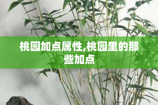 桃园加点属性,桃园里的那些加点 桃园加点属性,桃园里的那些加点