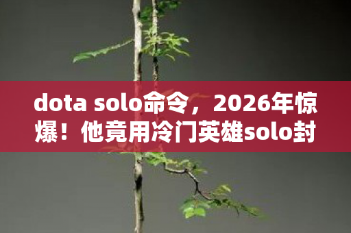 dota solo命令，2026年惊爆！他竟用冷门英雄solo封神，背后真相让人窒息！