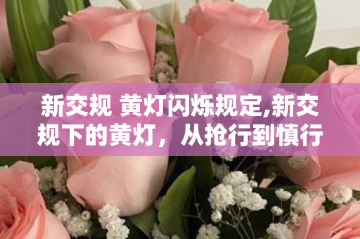 新交规 黄灯闪烁规定,新交规下的黄灯,从抢行到慎行的观念转变 新交规 黄灯闪烁规定,新交规下的黄灯,从抢行到慎行的观念转变