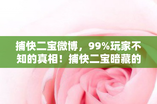 捕快二宝微博,99%玩家不知的真相!捕快二宝暗藏的扎心比例,揭开江湖血色面纱 捕快二宝微博,99%玩家不知的真相!捕快二宝暗藏的扎心比例,揭开江湖血色面纱
