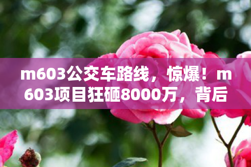 m603公交车路线，惊爆！m603项目狂砸8000万，背后隐情曝光，真让人吓一跳！
