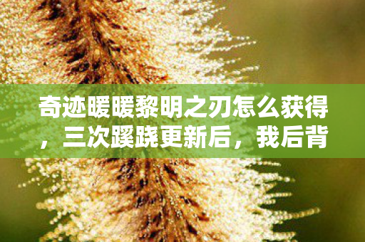 奇迹暖暖黎明之刃怎么获得,三次蹊跷更新后,我后背发凉,黎明前线竟是策划的养蛊局? 奇迹暖暖黎明之刃怎么获得,三次蹊跷更新后,我后背发凉,黎明前线竟是策划的养蛊局?
