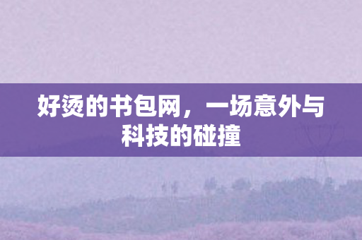 好烫的书包网,一场意外与科技的碰撞 好烫的书包网,一场意外与科技的碰撞