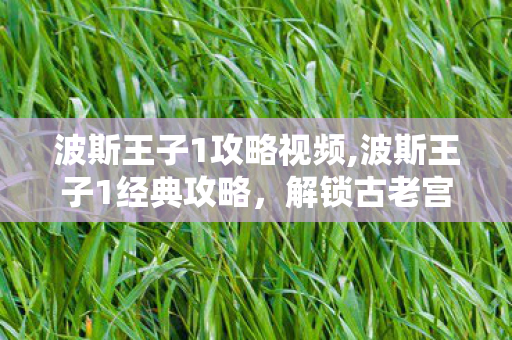 波斯王子1攻略视频,波斯王子1经典攻略,解锁古老宫殿的冒险技巧 波斯王子1攻略视频,波斯王子1经典攻略,解锁古老宫殿的冒险技巧