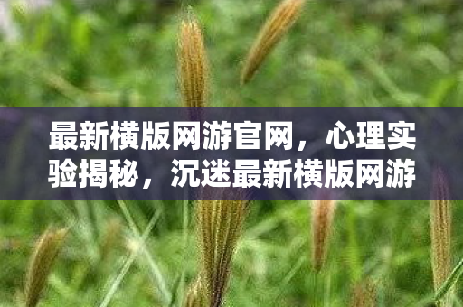 最新横版网游官网,心理实验揭秘,沉迷最新横版网游三年,细思极恐的自我囚禁 最新横版网游官网,心理实验揭秘,沉迷最新横版网游三年,细思极恐的自我囚禁
