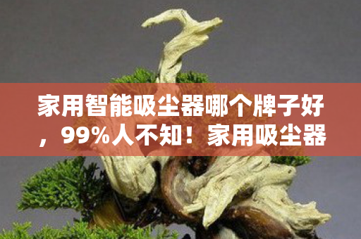 家用智能吸尘器哪个牌子好,99%人不知!家用吸尘器竟藏10大逆天玩法,用错=白买! 家用智能吸尘器哪个牌子好,99%人不知!家用吸尘器竟藏10大逆天玩法,用错=白买!