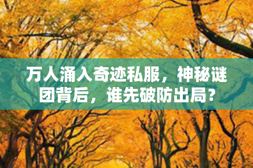 万人涌入奇迹私服,神秘谜团背后,谁先破防出局? 万人涌入奇迹私服,神秘谜团背后,谁先破防出局?