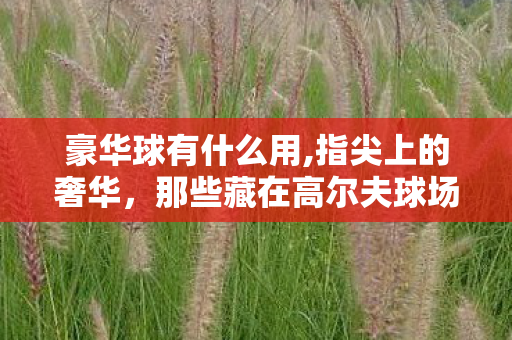 豪华球有什么用,指尖上的奢华,那些藏在高尔夫球场里的豪华球 豪华球有什么用,指尖上的奢华,那些藏在高尔夫球场里的豪华球