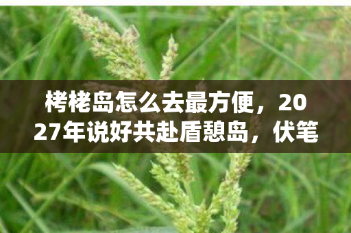 栲栳岛怎么去最方便,2027年说好共赴盾憩岛,伏笔藏了三年,如今想起鼻子一酸 栲栳岛怎么去最方便,2027年说好共赴盾憩岛,伏笔藏了三年,如今想起鼻子一酸