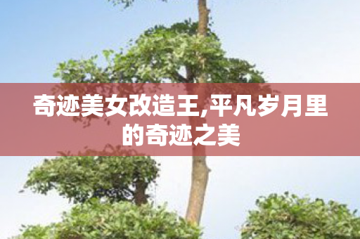 奇迹美女改造王,平凡岁月里的奇迹之美 奇迹美女改造王,平凡岁月里的奇迹之美