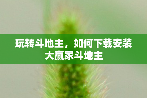 玩转斗地主,如何下载安装大赢家斗地主 玩转斗地主,如何下载安装大赢家斗地主