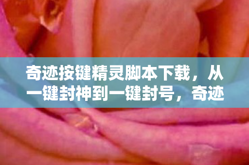 奇迹按键精灵脚本下载,从一键封神到一键封号,奇迹脚本的落差真相,笑着笑着就哭了 奇迹按键精灵脚本下载,从一键封神到一键封号,奇迹脚本的落差真相,笑着笑着就哭了