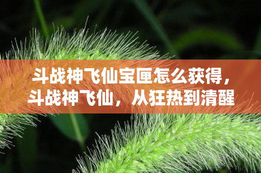 斗战神飞仙宝匣怎么获得,斗战神飞仙,从狂热到清醒,版本更迭下的真相探寻 斗战神飞仙宝匣怎么获得,斗战神飞仙,从狂热到清醒,版本更迭下的真相探寻