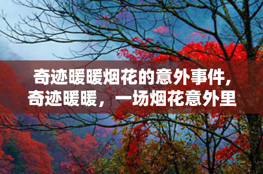 奇迹暖暖烟花的意外事件,奇迹暖暖,一场烟花意外里的小温暖 奇迹暖暖烟花的意外事件,奇迹暖暖,一场烟花意外里的小温暖