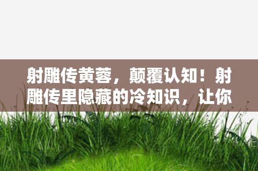 射雕传黄蓉,颠覆认知!射雕传里隐藏的冷知识,让你目瞪口呆到2026年! 射雕传黄蓉,颠覆认知!射雕传里隐藏的冷知识,让你目瞪口呆到2026年!