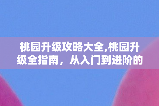 桃园升级攻略大全,桃园升级全指南，从入门到进阶的高效玩法