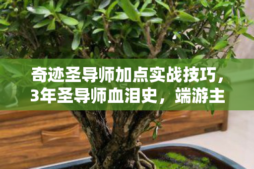 奇迹圣导师加点实战技巧,3年圣导师血泪史,端游主机玩家为何集体破防?这个数字藏着多少心酸 奇迹圣导师加点实战技巧,3年圣导师血泪史,端游主机玩家为何集体破防?这个数字藏着多少心酸