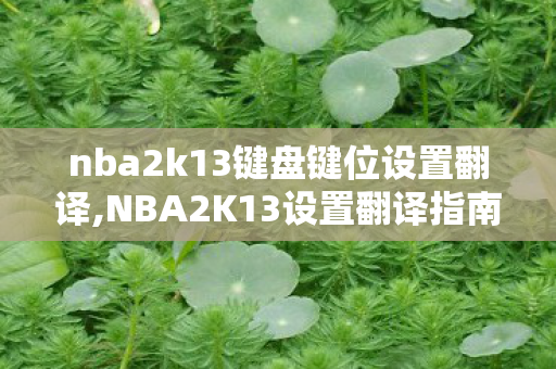 nba2k13键盘键位设置翻译,NBA2K13设置翻译指南，解锁游戏操作与画面优化的关键