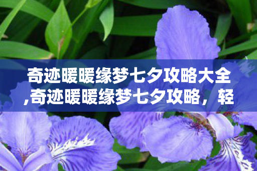 奇迹暖暖缘梦七夕攻略大全,奇迹暖暖缘梦七夕攻略，轻松拿下限定浪漫套装