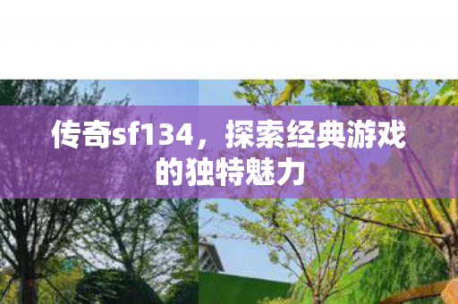 传奇sf134,探索经典游戏的独特魅力 传奇sf134,探索经典游戏的独特魅力