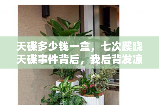 天碟多少钱一盒,七次蹊跷天碟事件背后,我后背发凉地数着被游戏耍的次数 天碟多少钱一盒,七次蹊跷天碟事件背后,我后背发凉地数着被游戏耍的次数
