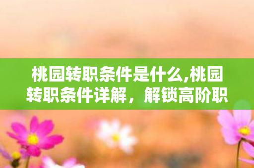 桃园转职条件是什么,桃园转职条件详解,解锁高阶职业的核心要求 桃园转职条件是什么,桃园转职条件详解,解锁高阶职业的核心要求