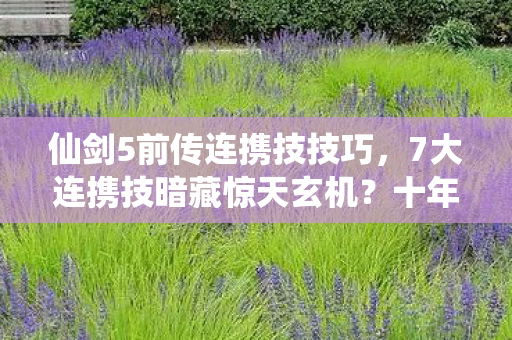 仙剑5前传连携技技巧,7大连携技暗藏惊天玄机?十年老粉揭秘背后不为人知的真相! 仙剑5前传连携技技巧,7大连携技暗藏惊天玄机?十年老粉揭秘背后不为人知的真相!