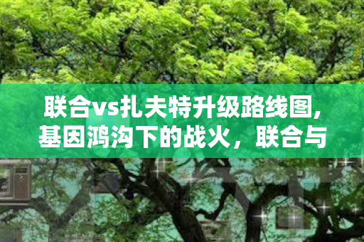 联合vs扎夫特升级路线图,基因鸿沟下的战火,联合与扎夫特的高达SEED史诗对决 联合vs扎夫特升级路线图,基因鸿沟下的战火,联合与扎夫特的高达SEED史诗对决