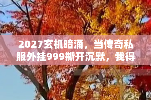 2027玄机暗涌,当传奇私服外挂999撕开沉默,我得到了什么? 2027玄机暗涌,当传奇私服外挂999撕开沉默,我得到了什么?