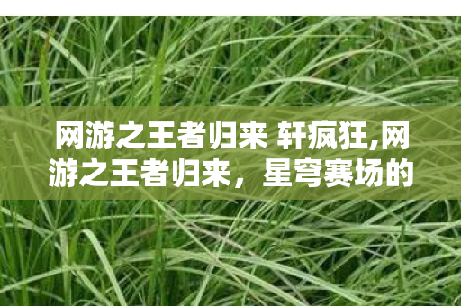 网游之王者归来 轩疯狂,网游之王者归来,星穹赛场的热血重燃 网游之王者归来 轩疯狂,网游之王者归来,星穹赛场的热血重燃