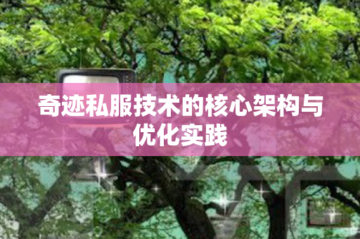 奇迹私服技术的核心架构与优化实践 奇迹私服技术的核心架构与优化实践