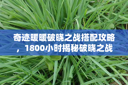 奇迹暖暖破晓之战搭配攻略,1800小时揭秘破晓之战搭配谜局,那些让百万玩家泪目的设计密码 奇迹暖暖破晓之战搭配攻略,1800小时揭秘破晓之战搭配谜局,那些让百万玩家泪目的设计密码
