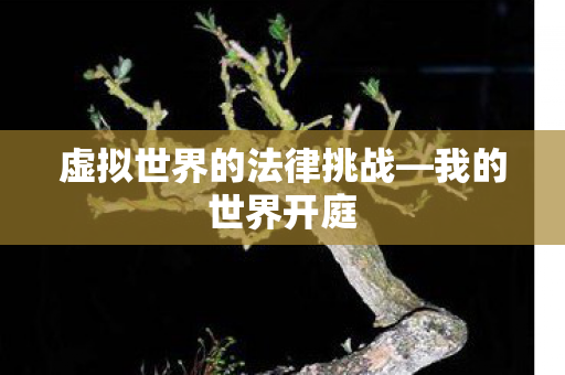 虚拟世界的法律挑战—我的世界开庭