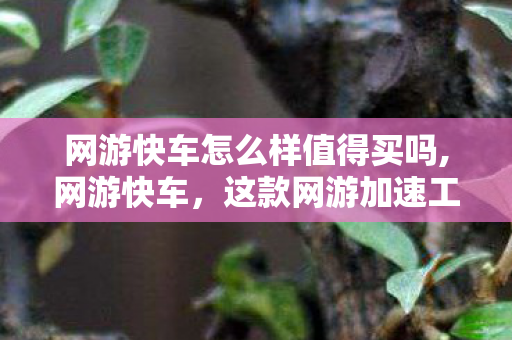 网游快车怎么样值得买吗,网游快车,这款网游加速工具到底怎么样 网游快车怎么样值得买吗,网游快车,这款网游加速工具到底怎么样