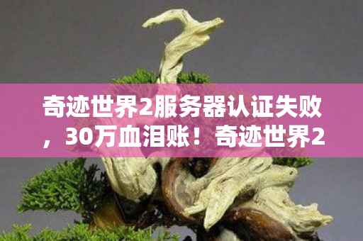 奇迹世界2服务器认证失败,30万血泪账!奇迹世界2外挂背后,我亲手拆家的隐情让人吓一跳! 奇迹世界2服务器认证失败,30万血泪账!奇迹世界2外挂背后,我亲手拆家的隐情让人吓一跳!