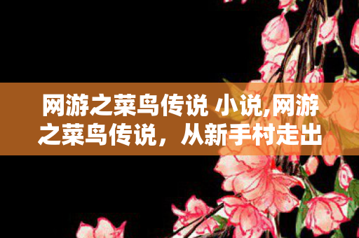 网游之菜鸟传说 小说,网游之菜鸟传说,从新手村走出的荣耀轨迹 网游之菜鸟传说 小说,网游之菜鸟传说,从新手村走出的荣耀轨迹