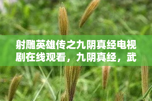 射雕英雄传之九阴真经电视剧在线观看,九阴真经,武学巅峰的层级囚笼,自由意志与宿命悖论的灵魂震颤 射雕英雄传之九阴真经电视剧在线观看,九阴真经,武学巅峰的层级囚笼,自由意志与宿命悖论的灵魂震颤