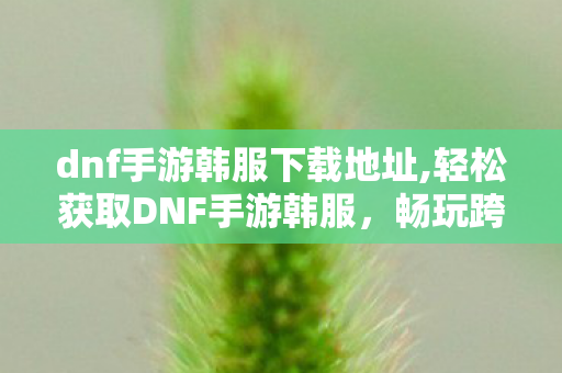 dnf手游韩服下载地址,轻松获取DNF手游韩服，畅玩跨服冒险的实用指南