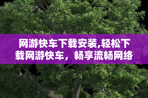 网游快车下载安装,轻松下载网游快车,畅享流畅网络体验 网游快车下载安装,轻松下载网游快车,畅享流畅网络体验