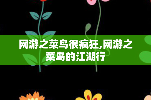 网游之菜鸟很疯狂,网游之菜鸟的江湖行