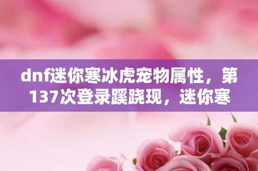 dnf迷你寒冰虎宠物属性,第137次登录蹊跷现,迷你寒冰虎竟让我后背发凉! dnf迷你寒冰虎宠物属性,第137次登录蹊跷现,迷你寒冰虎竟让我后背发凉!
