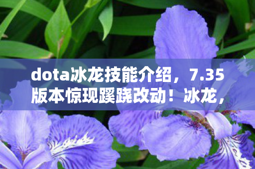 dota冰龙技能介绍,7.35版本惊现蹊跷改动!冰龙,这波啊,真是让人直呼离谱! dota冰龙技能介绍,7.35版本惊现蹊跷改动!冰龙,这波啊,真是让人直呼离谱!