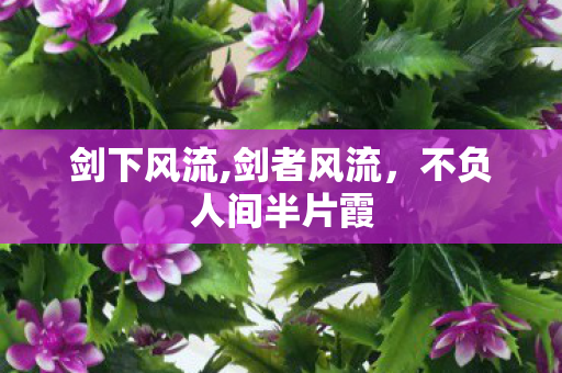 剑下风流,剑者风流，不负人间半片霞
